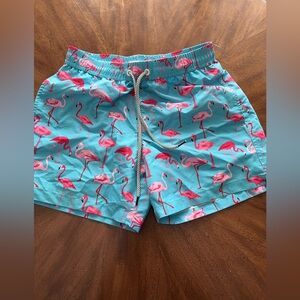 Flamingo Print Men Shorts - Blue and Pink